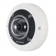 Сетевые IP камеры - IP-камеры Fisheye "Рыбий глаз"